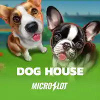 Dog House